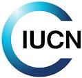 International Union for Conservation of Nature (IUCN)