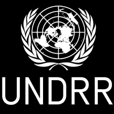 ECONOMIC AFFAIRS OFFICER - United Nations Office for Disaster Risk ...