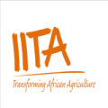 International Institute for Tropical Agriculture – IITA